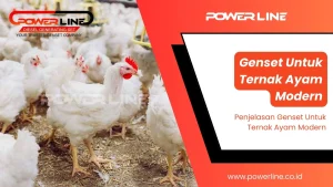 genset untuk ternak ayam modern