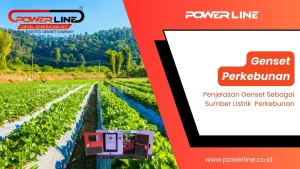 genset perkebunan
